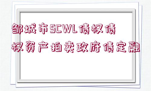 鄒城市SCWL債權(quán)債權(quán)資產(chǎn)拍賣政府債定融