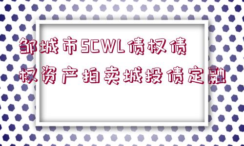 鄒城市SCWL債權(quán)債權(quán)資產(chǎn)拍賣城投債定融