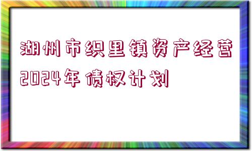 湖州市織里鎮(zhèn)資產(chǎn)經(jīng)營2024年債權(quán)計劃