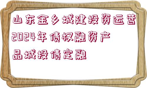 山東金鄉(xiāng)城建投資運營2024年債權融資產品城投債定融