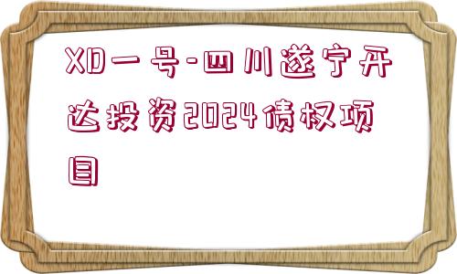 XD一號(hào)-四川遂寧開達(dá)投資2024債權(quán)項(xiàng)目