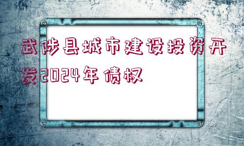 武陟縣城市建設(shè)投資開發(fā)2024年債權(quán)