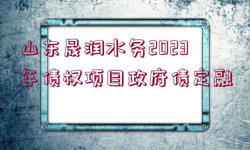 山東晟潤水務2023年債權項目政府債定融