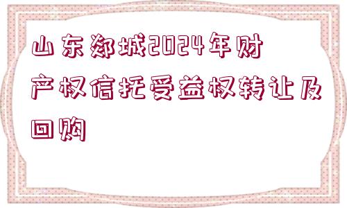 山東郯城2024年財產權信托受益權轉讓及回購