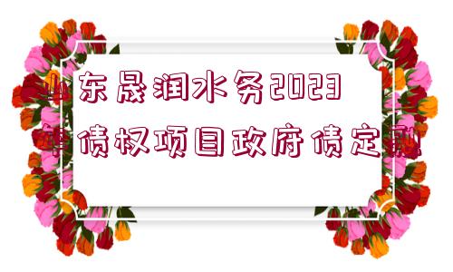 山東晟潤水務(wù)2023年債權(quán)項目政府債定融