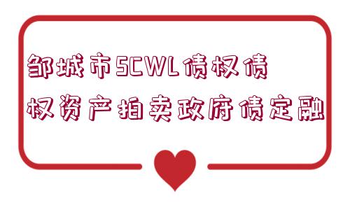 鄒城市SCWL債權債權資產拍賣政府債定融