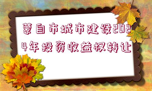 蒙自市城市建設2024年投資收益權轉(zhuǎn)讓