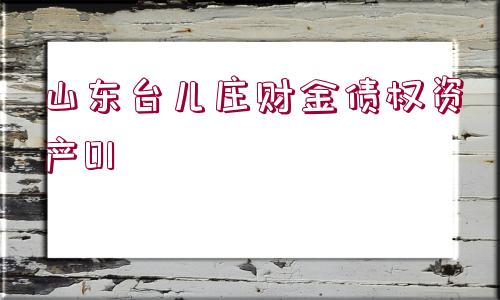 山東臺兒莊財(cái)金債權(quán)資產(chǎn)01