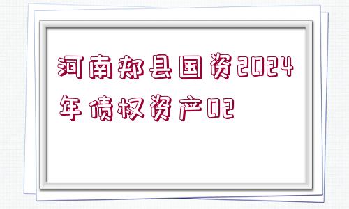 河南郟縣國資2024年債權(quán)資產(chǎn)02