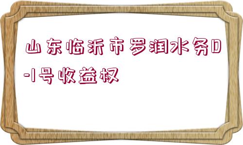 山東臨沂市羅潤水務(wù)D-1號收益權(quán)