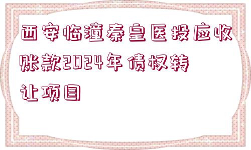 西安臨潼秦皇醫(yī)投應收賬款2024年債權(quán)轉(zhuǎn)讓項目