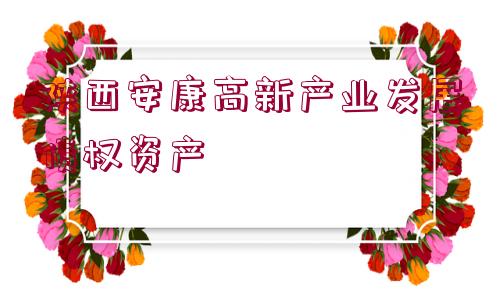 陜西安康高新產(chǎn)業(yè)發(fā)展債權(quán)資產(chǎn)