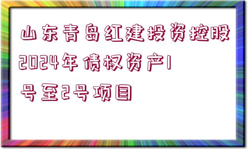 山東青島紅建投資控股2024年債權(quán)資產(chǎn)1號至2號項(xiàng)目