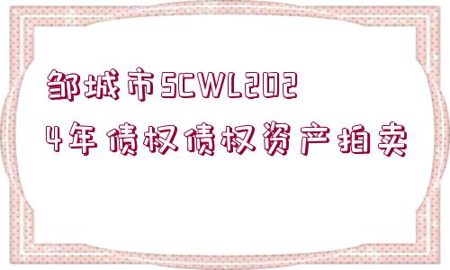 鄒城市SCWL2024年債權債權資產(chǎn)拍賣