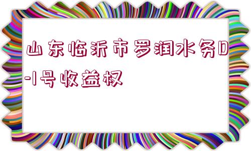 山東臨沂市羅潤水務(wù)D-1號收益權(quán)