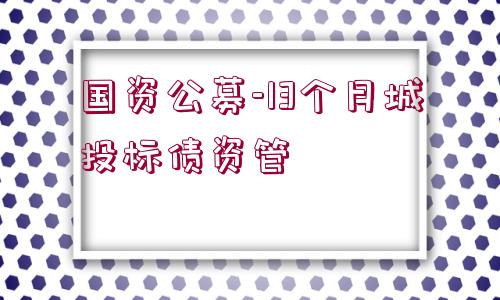 國(guó)資公募-13個(gè)月城投標(biāo)債資管