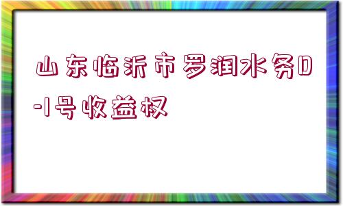 山東臨沂市羅潤水務(wù)D-1號收益權(quán)