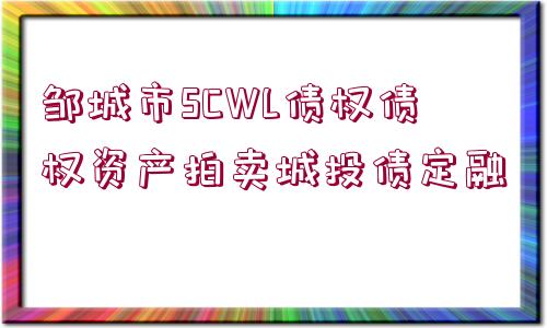 鄒城市SCWL債權債權資產拍賣城投債定融