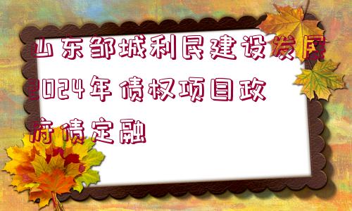 山東鄒城利民建設發(fā)展2024年債權(quán)項目政府債定融