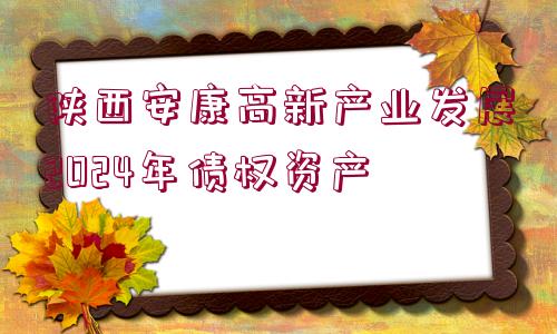 陜西安康高新產業(yè)發(fā)展2024年債權資產