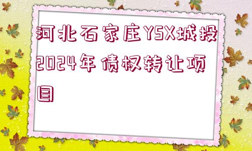 河北石家莊YSX城投2024年債權轉讓項目