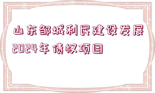 山東鄒城利民建設發(fā)展2024年債權項目