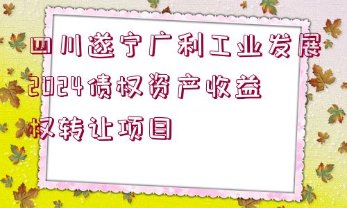 四川遂寧廣利工業(yè)發(fā)展2024債權(quán)資產(chǎn)收益權(quán)轉(zhuǎn)讓項(xiàng)目