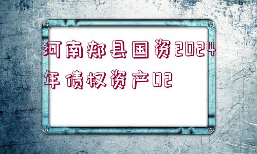 河南郟縣國資2024年債權(quán)資產(chǎn)02