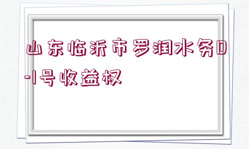 山東臨沂市羅潤水務(wù)D-1號收益權(quán)