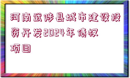 河南武陟縣城市建設(shè)投資開發(fā)2024年債權(quán)項目