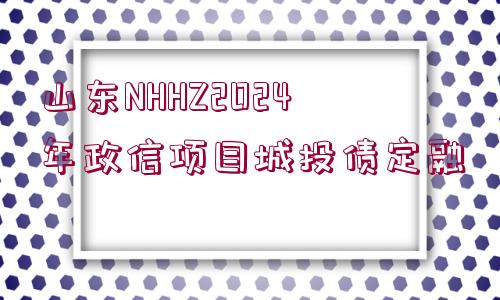 山東NHHZ2024年政信項目城投債定融