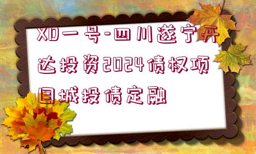 XD一號-四川遂寧開達(dá)投資2024債權(quán)項(xiàng)目城投債定融