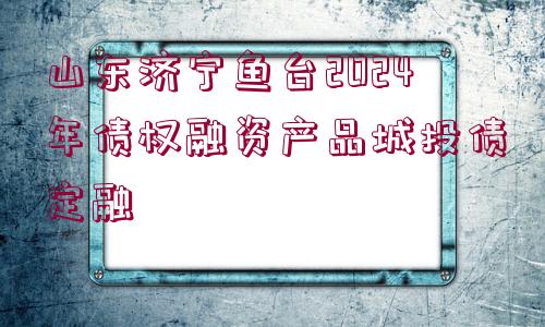 山東濟(jì)寧魚臺(tái)2024年債權(quán)融資產(chǎn)品城投債定融