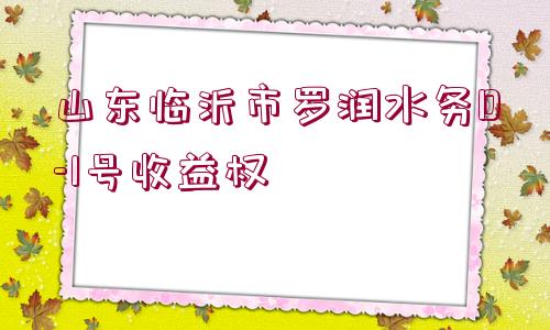 山東臨沂市羅潤(rùn)水務(wù)D-1號(hào)收益權(quán)