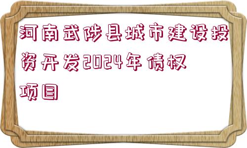 河南武陟縣城市建設(shè)投資開(kāi)發(fā)2024年債權(quán)項(xiàng)目