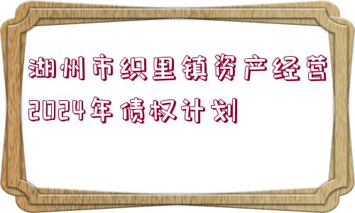 湖州市織里鎮(zhèn)資產(chǎn)經(jīng)營2024年債權(quán)計(jì)劃