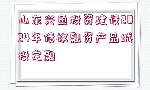 山東興魚(yú)投資建設(shè)2024年債權(quán)融資產(chǎn)品城投定融