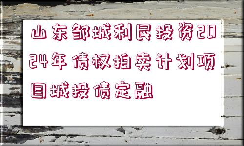 山東鄒城利民投資2024年債權拍賣計劃項目城投債定融