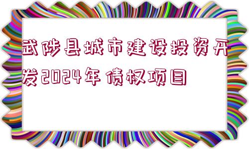 武陟縣城市建設(shè)投資開(kāi)發(fā)2024年債權(quán)項(xiàng)目