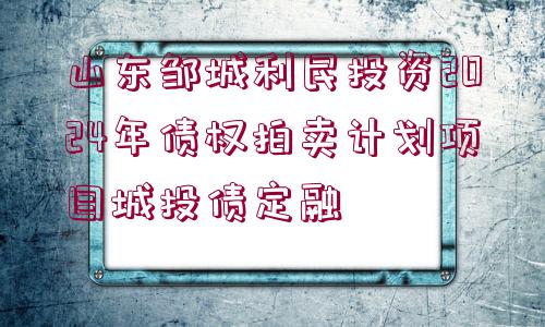 山東鄒城利民投資2024年債權(quán)拍賣計(jì)劃項(xiàng)目城投債定融