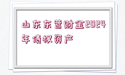 山東東營財金2024年債權(quán)資產(chǎn)