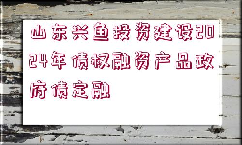 山東興魚投資建設(shè)2024年債權(quán)融資產(chǎn)品政府債定融