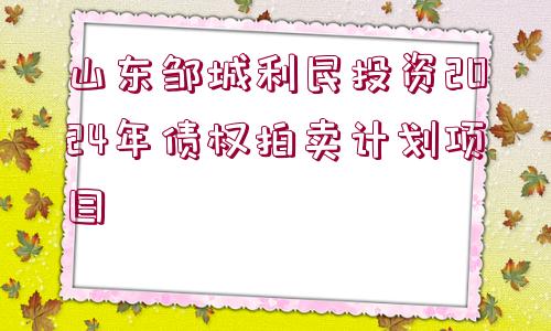 山東鄒城利民投資2024年債權(quán)拍賣計(jì)劃項(xiàng)目