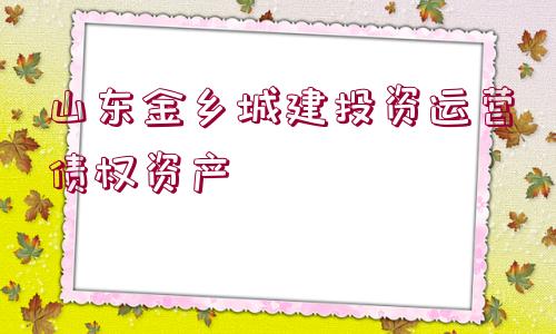 山東金鄉(xiāng)城建投資運(yùn)營(yíng)債權(quán)資產(chǎn)