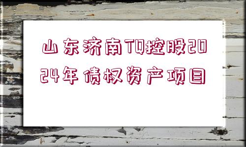 山東濟南TQ控股2024年債權資產(chǎn)項目