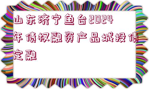 山東濟寧魚臺2024年債權融資產品城投債定融