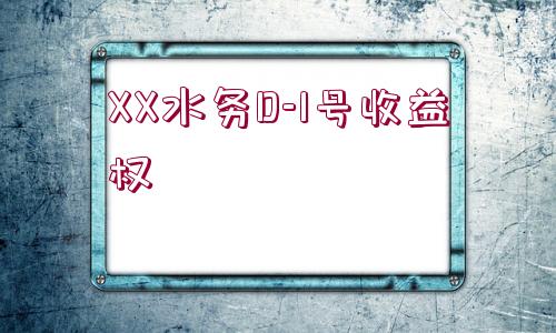 XX水務D-1號收益權