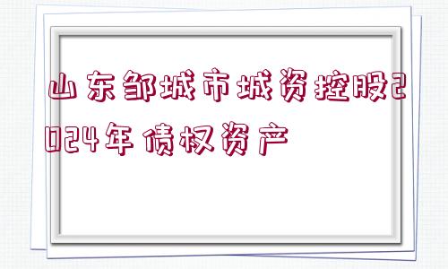 山東鄒城市城資控股2024年債權資產(chǎn)