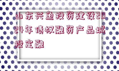 山東興魚投資建設(shè)2024年債權(quán)融資產(chǎn)品城投定融