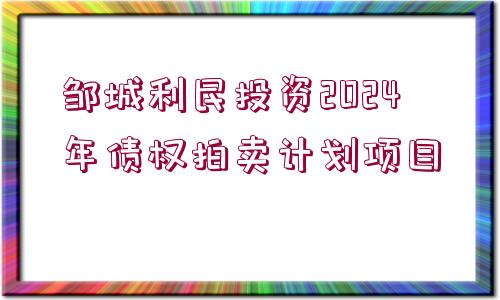 鄒城利民投資2024年債權(quán)拍賣計劃項目